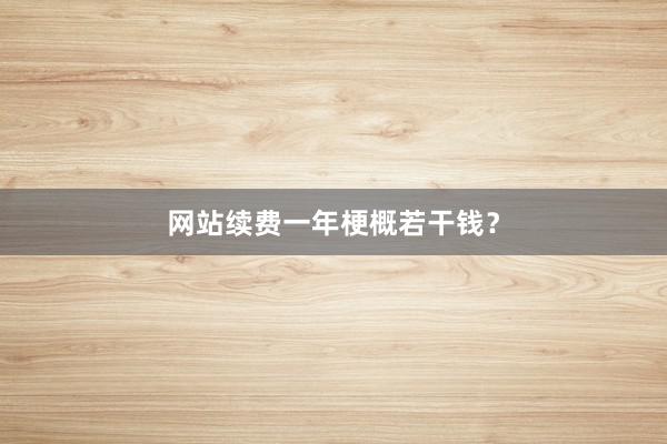 网站续费一年梗概若干钱?