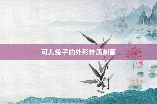 可儿兔子的外形特质刻画