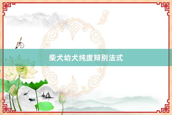 柴犬幼犬纯度辩别法式